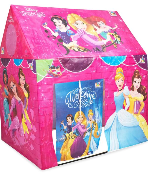 Disney Princess Theme Play House