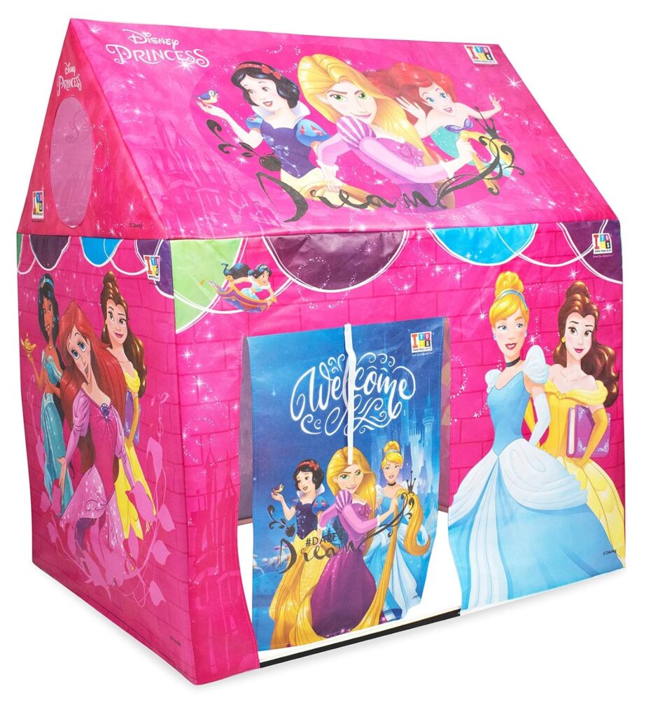 Disney Princess Theme Play House